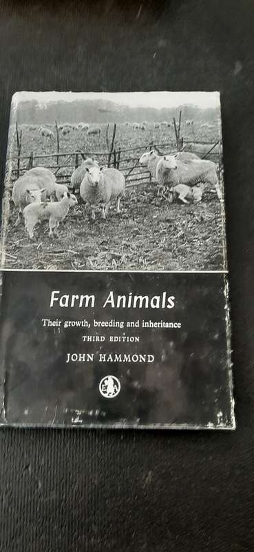 Farm Animals by John Hammond