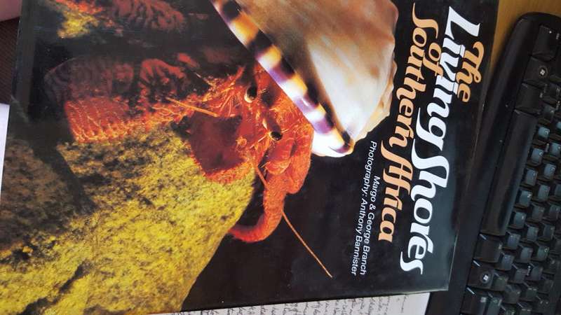 The Living Shores of Southern Africa by Margo and George Branch.