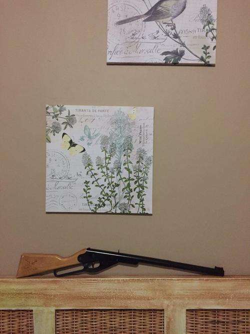Daisy Buck air rifle