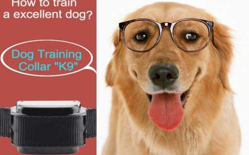 Dog Training Collar 'K9 II' - Vibration + Shock Selectable, 3 Shock Levels, Remote Control, 1000 Met