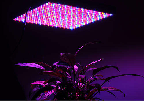 LED GROW LIGHT "RED DAWN II"