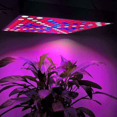 50WATT LED GROW LIGHT