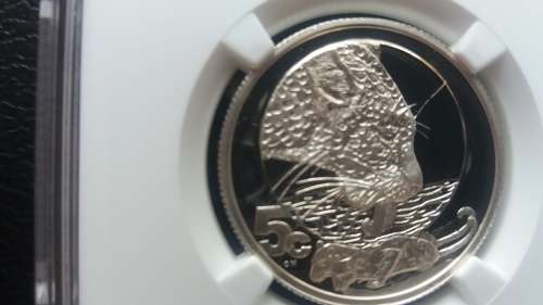2004 5C ¼ oz Silver Leopard PF70 Ultra Cameo  - Top of the  Pops - Best there is