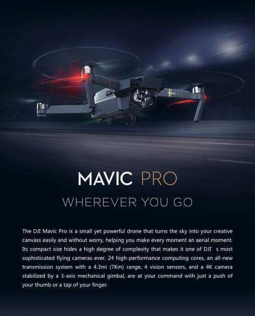 Excelent DJI Mavic Pro Flymore Combo + DJI Goggles