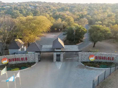 Great Holiday Deal - Dikhololo