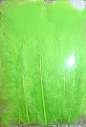 30pc Feather Pendant Starter Kit in LIME (For Earrings, DreamCatchers, Mobiles, Pendants)
