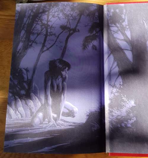 Wolves of the Calla (The Dark Tower Volume V)  Stephen King (Horror).