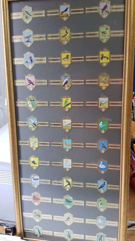 Cigar Band Collection: Long Frame with 36x different Bands Willem II Bird Series