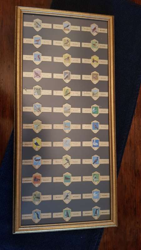 Cigar Band Collection: Long Frame with 36x different Bands Willem II Bird Series