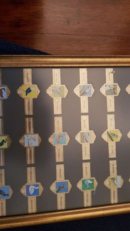 Cigar Band Collection: Long Frame with 36x different Bands Willem II Bird Series