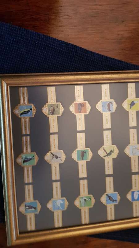 Cigar Band Collection: Long Frame with 36x different Bands Willem II Bird Series