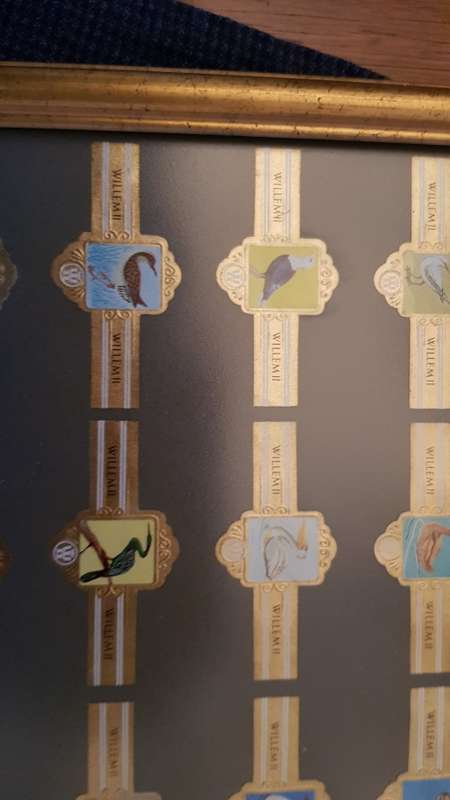 Cigar Band Collection: Long Frame with 36x different Bands Willem II Bird Series
