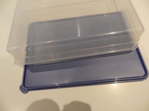 Addis Plastic Large Rectangular container server/saver with blue lid.