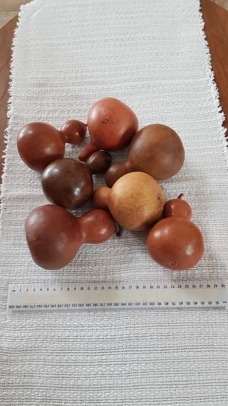 African curios:  Set of calabashes.  7x in warm brown tones.