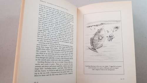 Adrift  Steven Callahan. Seventy-six days lost at sea.