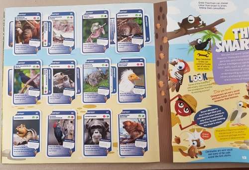 Card Albums: Pick n Pay Super Animals plus doubles!!  Activity and Collectors Album