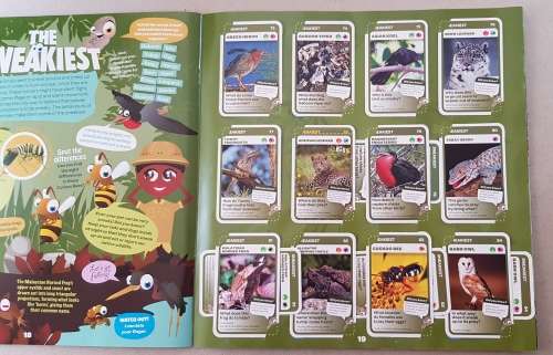 Card Albums: Pick n Pay Super Animals plus doubles!!  Activity and Collectors Album