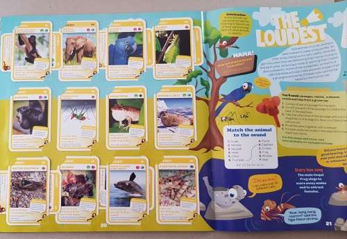 Card Albums: Pick n Pay Super Animals plus doubles!!  Activity and Collectors Album