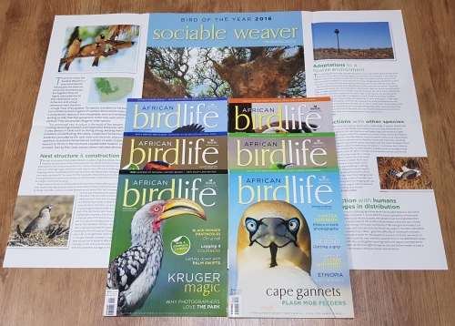 Magazines: African Birdlife Magazines.  6x Magazines. African Birdlife 2015/2016 Vol. 4.