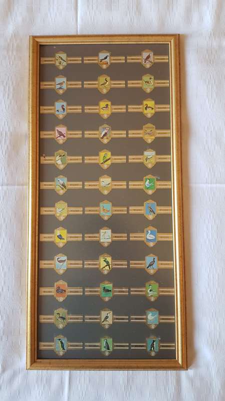 Cigar Band Collection: Long Frame with 36x different Bands Willem II Bird Series