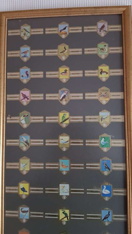 Cigar Band Collection: Long Frame with 36x different Bands Willem II Bird Series