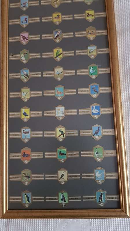 Cigar Band Collection: Long Frame with 36x different Bands Willem II Bird Series