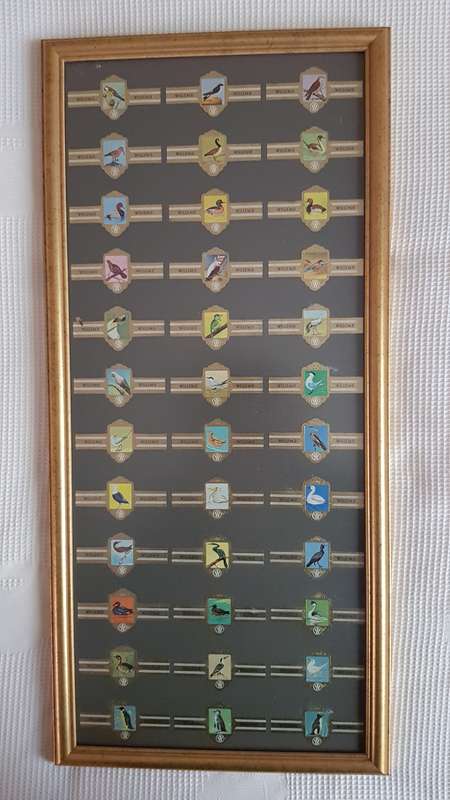 Cigar Band Collection: Long Frame with 36x different Bands Willem II Bird Series