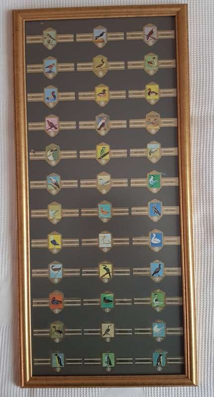 Cigar Band Collection: Long Frame with 36x different Bands Willem II Bird Series
