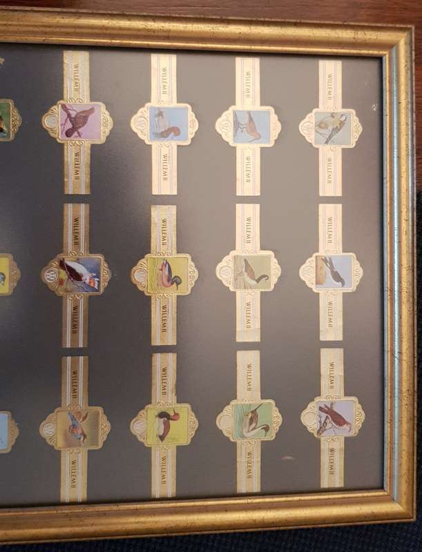 Cigar Band Collection: Long Frame with 36x different Bands Willem II Bird Series
