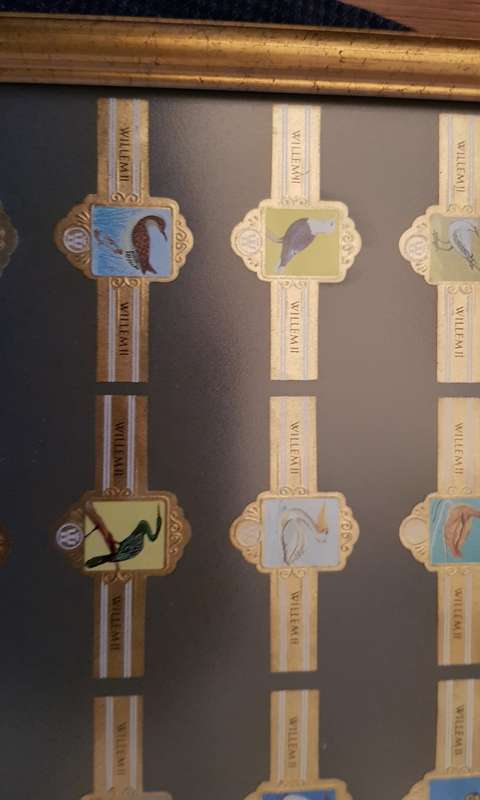 Cigar Band Collection: Long Frame with 36x different Bands Willem II Bird Series