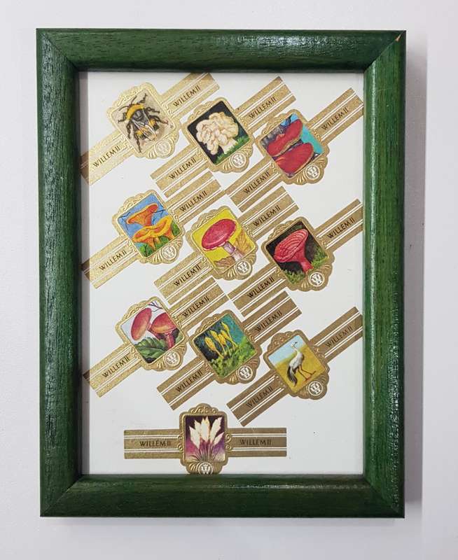 Vintage Cigar Band Collection: 1x Small Frame with various cigar bands.