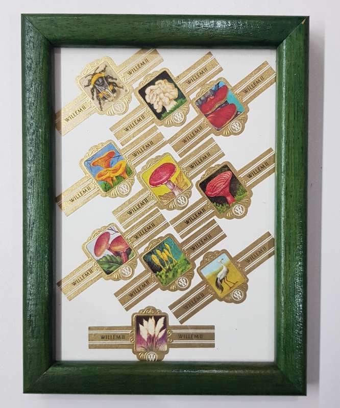 Vintage Cigar Band Collection: 1x Small Frame with various cigar bands.