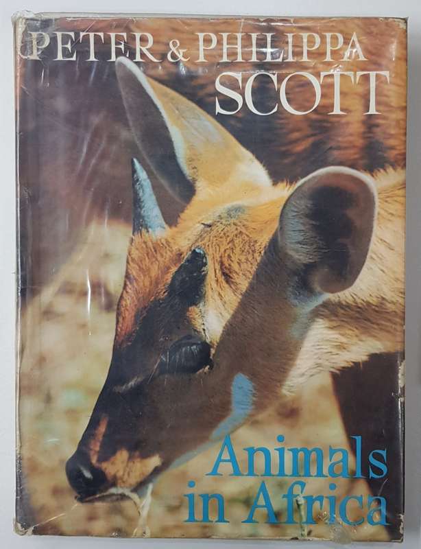 Animals in Africa.