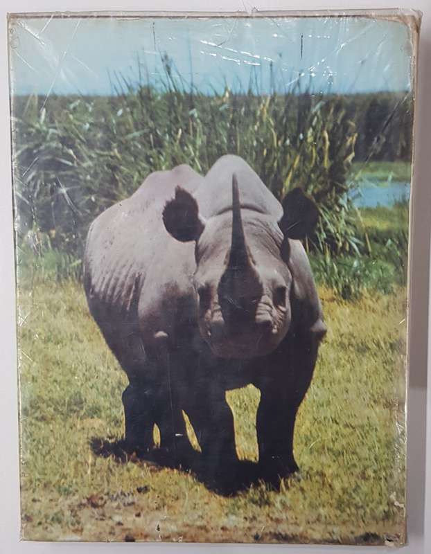 Animals in Africa.