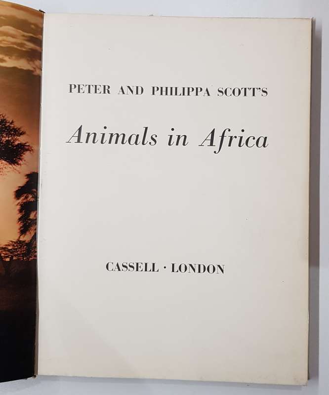 Animals in Africa.