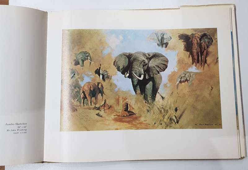 An Artist in Africa by David Shepherd