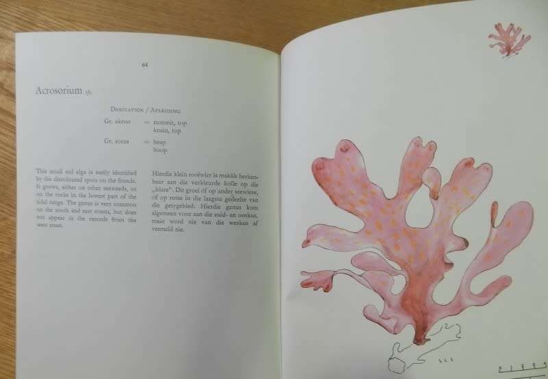 The Seaweeds of the Tsitsikama Coastal National Park