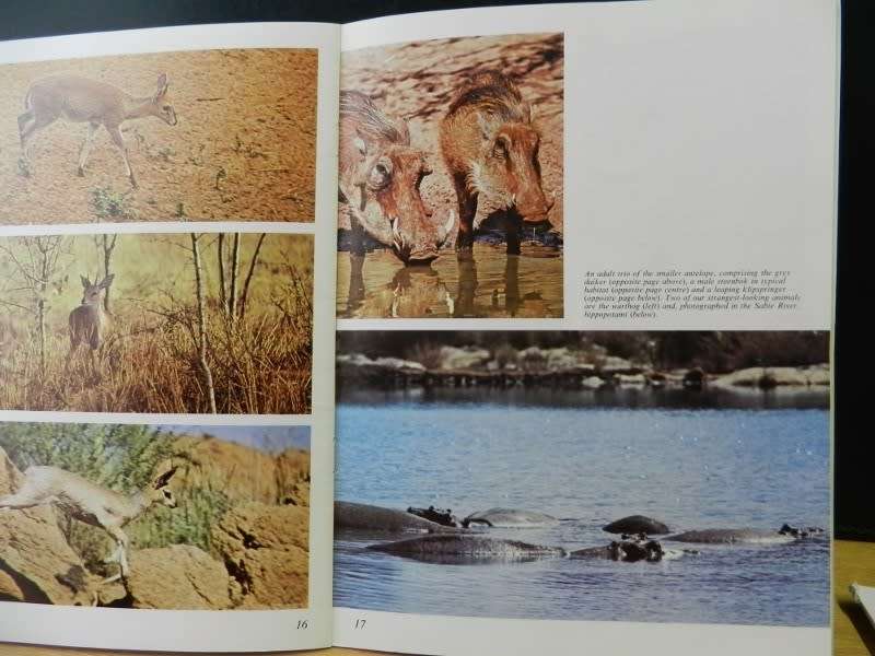 Wild Animals (Pride of South Africa)  byDavid Steele