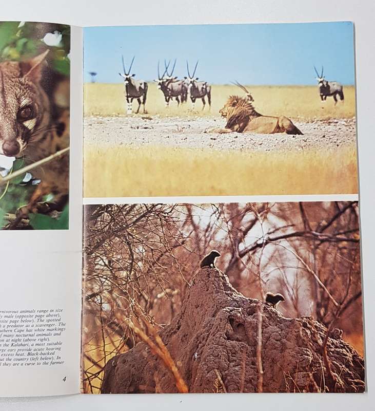 Wild Animals (Pride of South Africa)  byDavid Steele