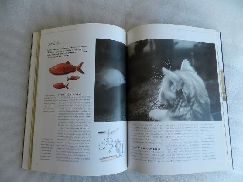 Feng Shui for You and Your Cat by Alison Daniels