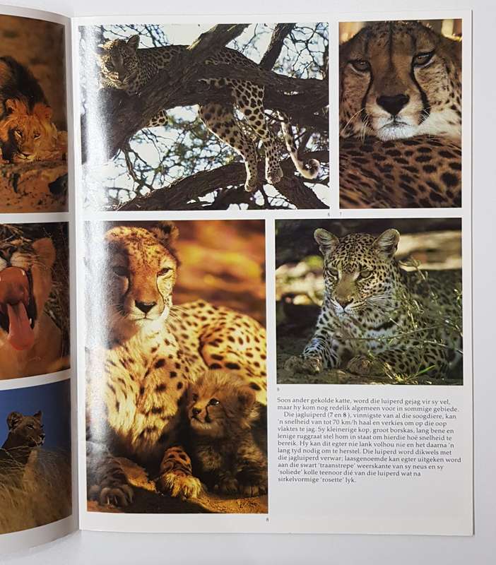 Wilde Diere van Suider Afrika deur Anthony Bannister