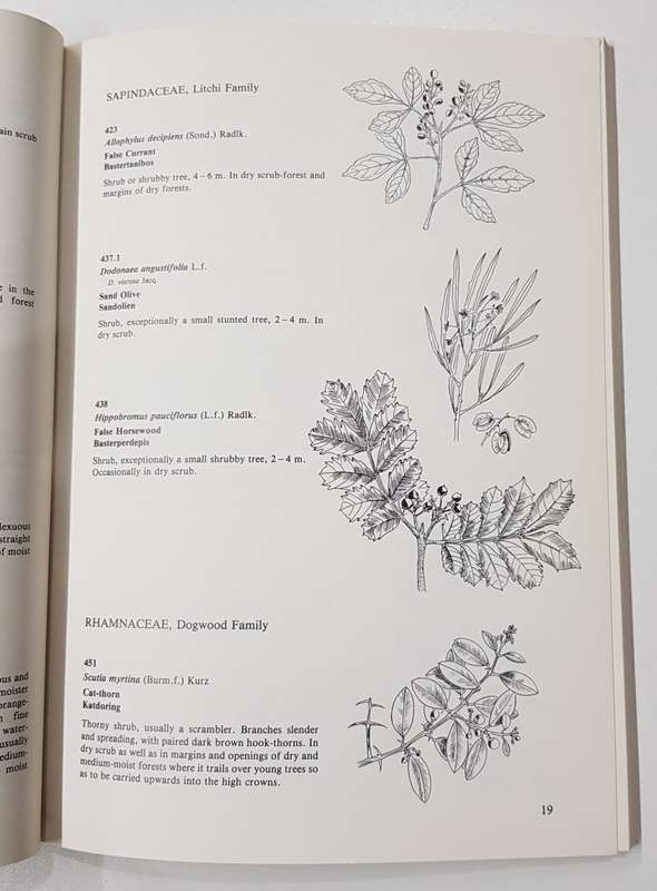 Southern Cape Tree Guide  by  F. Von Breitenbach