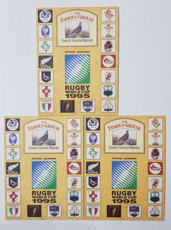 The Story of The Rugby World Cup South Africa 1995
