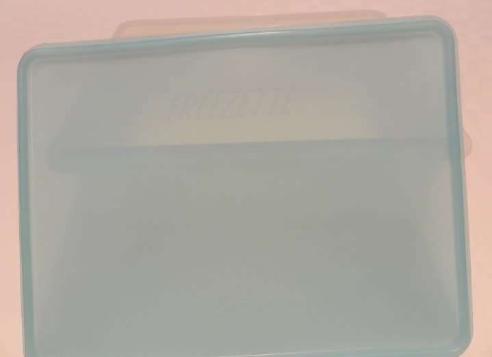 Freezette Plastic Large Rectangular container server/saver with light blue lid.