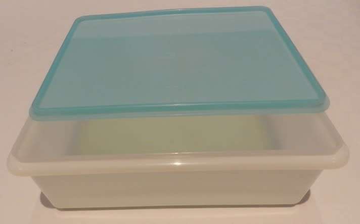 Freezette Plastic Large Rectangular container server/saver with light blue lid.