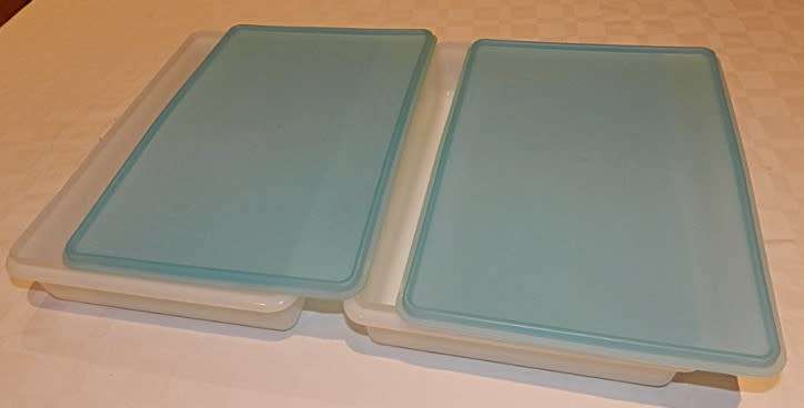 Freezette Plastic Rectangular container server/saver with blue lid.