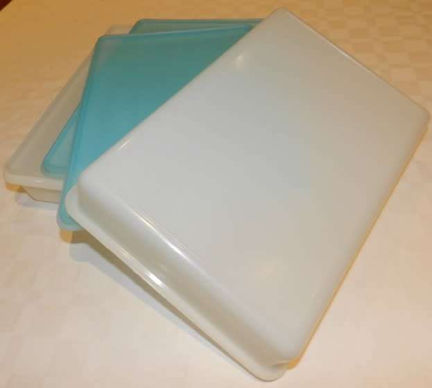 Freezette Plastic Rectangular container server/saver with blue lid.