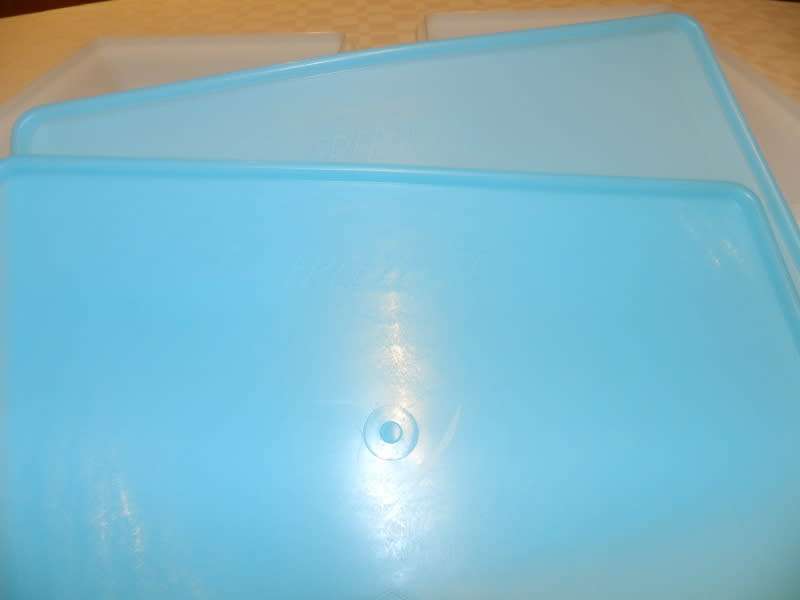 Freezette Plastic Rectangular container server/saver with blue lid.
