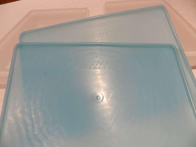Freezette Plastic Rectangular container server/saver with blue lid.