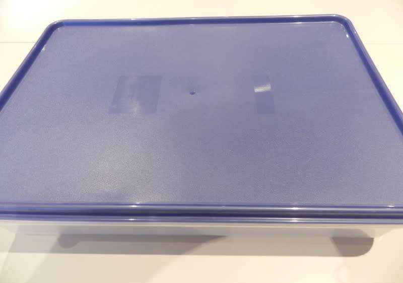 Addis Plastic Large Rectangular container server/saver with blue lid.